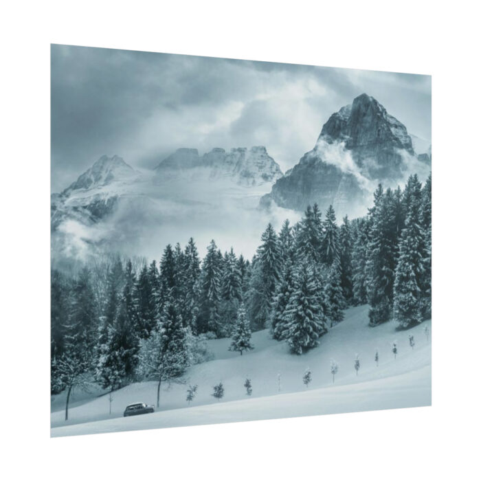 Car in Mountain Landscape With Snowy Trees Poster - Image 203
