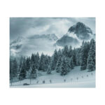 Car in Mountain Landscape With Snowy Trees Poster - Image 206