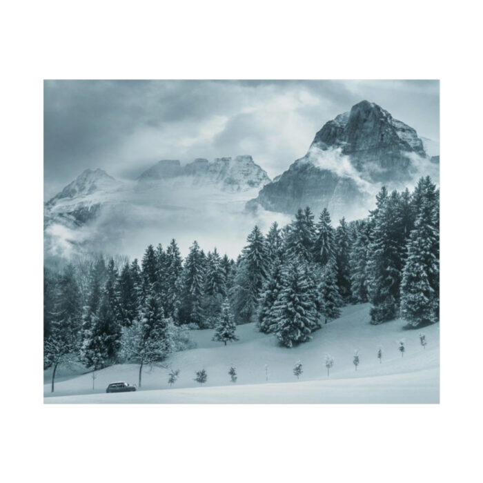Car in Mountain Landscape With Snowy Trees Poster - Image 206