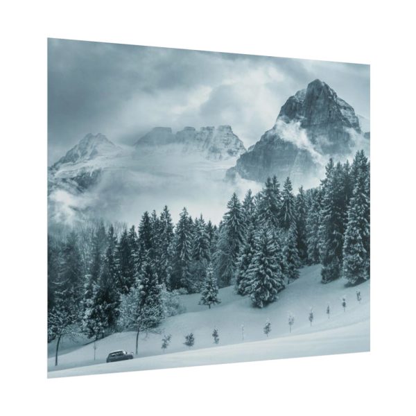 101860-17.jpg Car in Mountain Landscape With Snowy Trees Poster