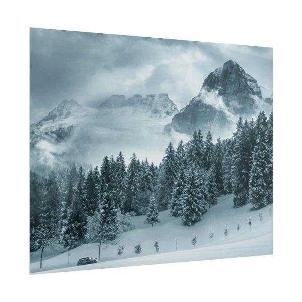 101861-17.jpg Car in Mountain Landscape With Snowy Trees Poster