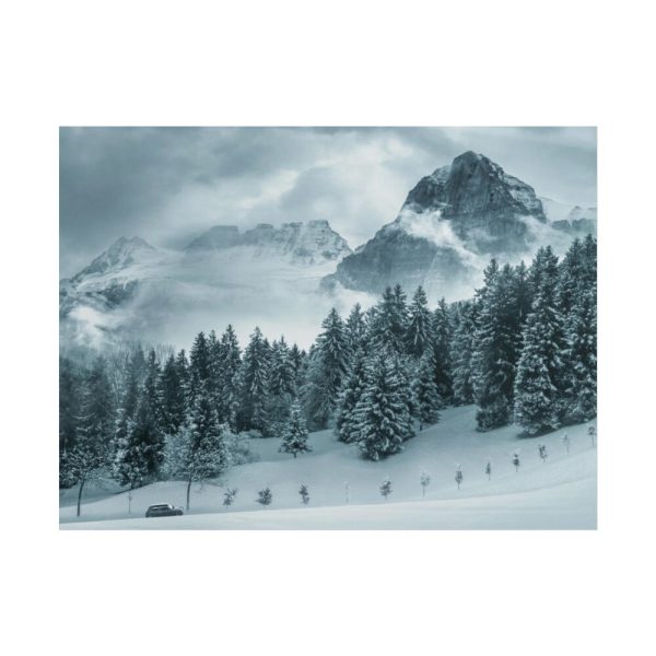 101862-15.jpg Car in Mountain Landscape With Snowy Trees Poster