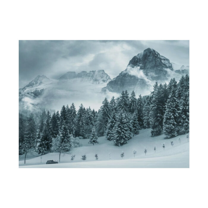 Car in Mountain Landscape With Snowy Trees Poster - Image 216