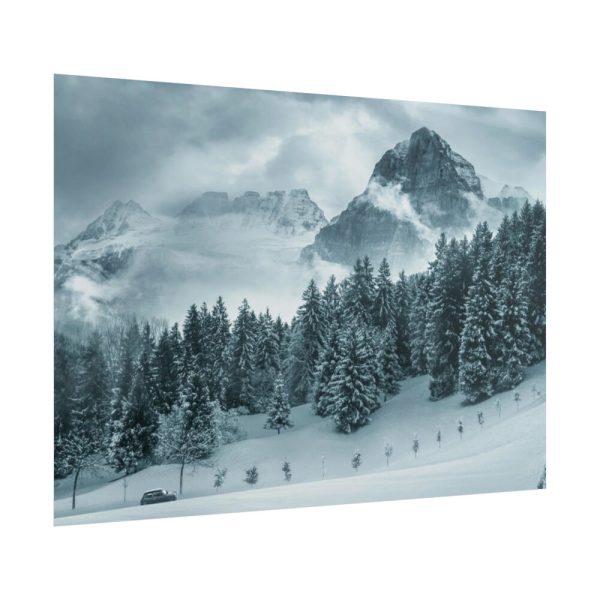 101863-17.jpg Car in Mountain Landscape With Snowy Trees Poster