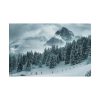 101864-15.jpg Car in Mountain Landscape With Snowy Trees Poster