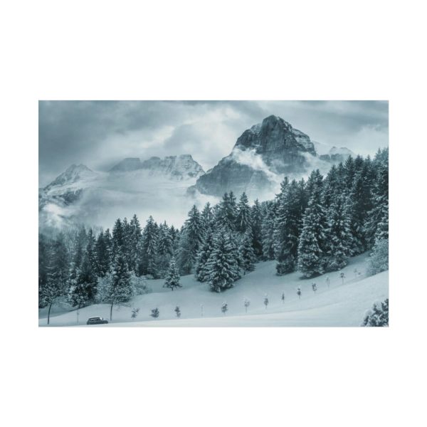 101864-15.jpg Car in Mountain Landscape With Snowy Trees Poster
