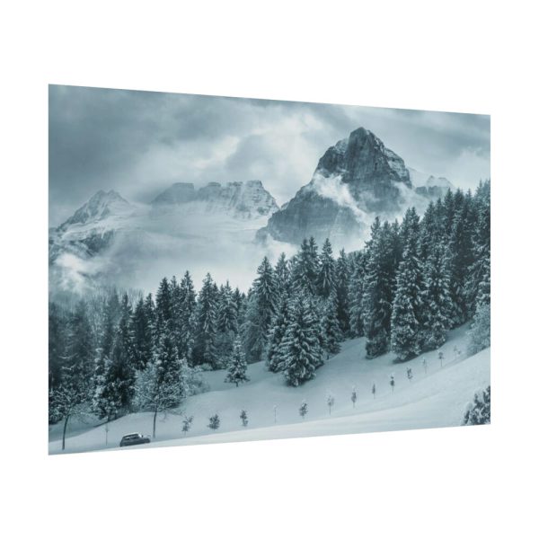 101864-17.jpg Car in Mountain Landscape With Snowy Trees Poster