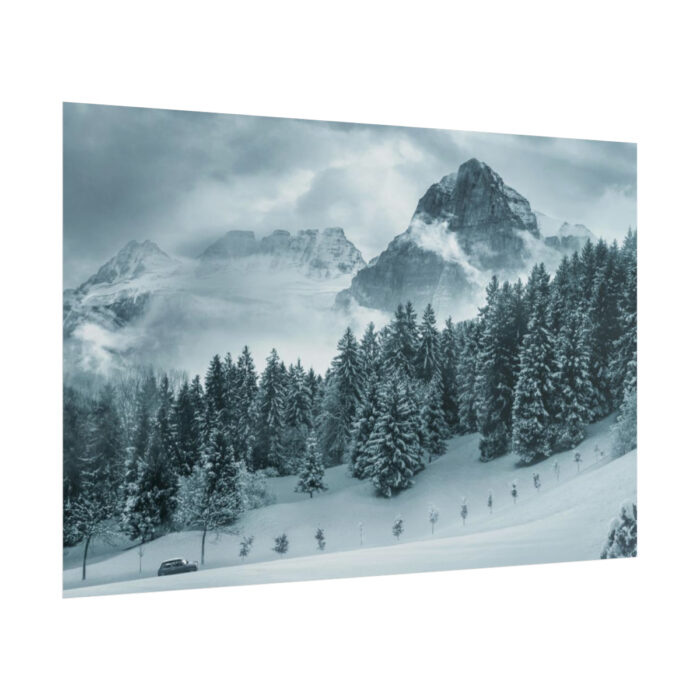 Car in Mountain Landscape With Snowy Trees Poster - Image 233