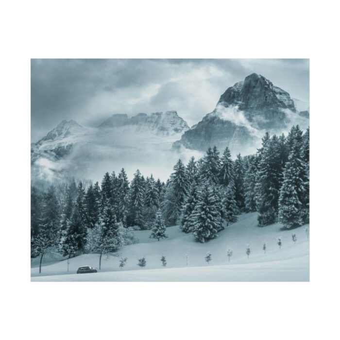 Car in Mountain Landscape With Snowy Trees Poster - Image 236