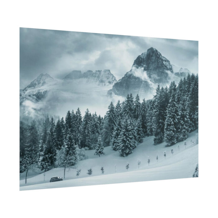 Car in Mountain Landscape With Snowy Trees Poster - Image 243
