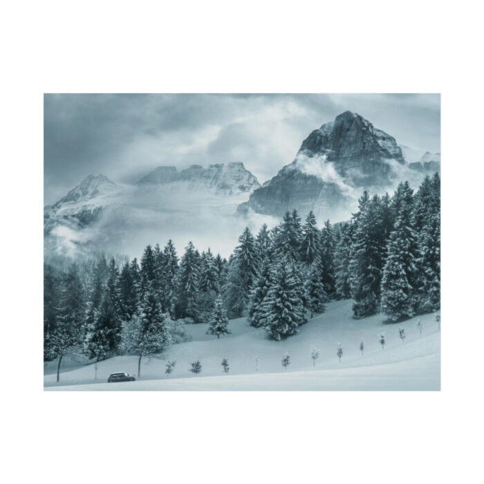 Car in Mountain Landscape With Snowy Trees Poster - Image 266