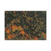 101875-10.jpg Autumnal Woods Drone View Poster