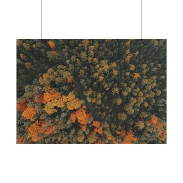 101875-11.jpg Autumnal Woods Drone View Poster