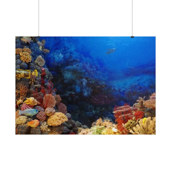 101875-126.jpg Ocean Life Poster