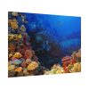 101875-127.jpg Ocean Life Poster
