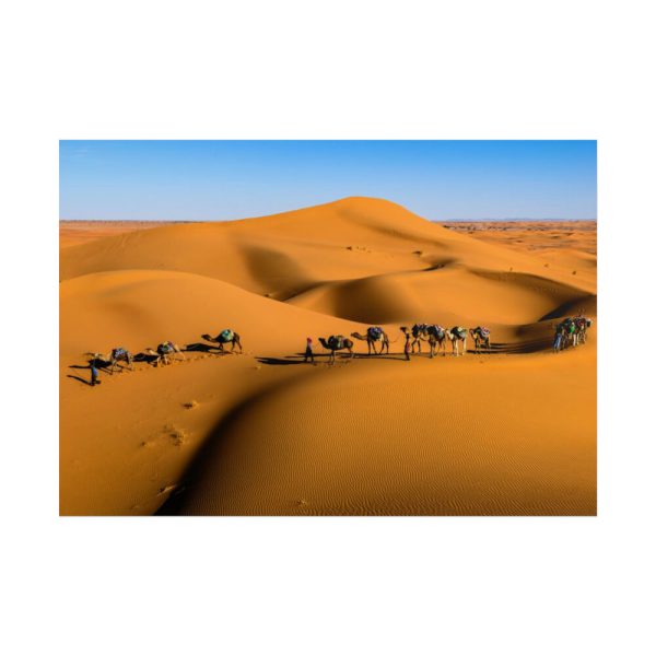 101875-25.jpg Gold Sand Dunes Poster