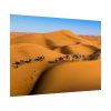 101875-27.jpg Gold Sand Dunes Poster