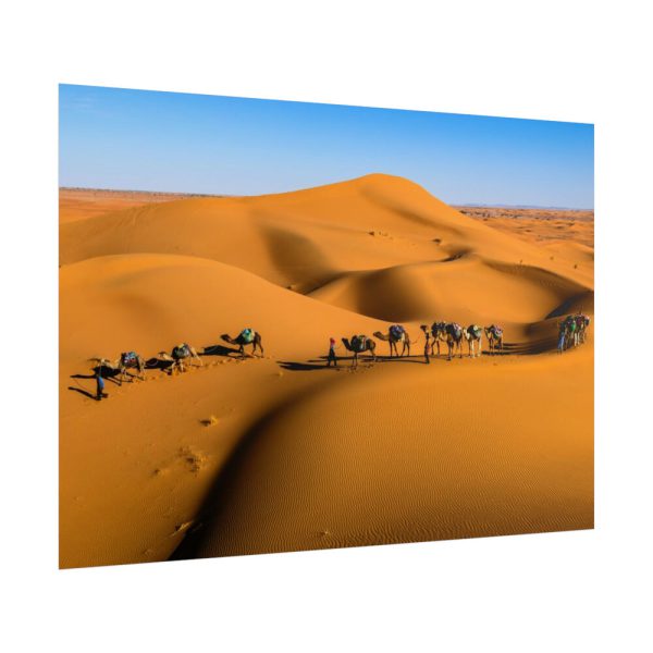 101875-27.jpg Gold Sand Dunes Poster