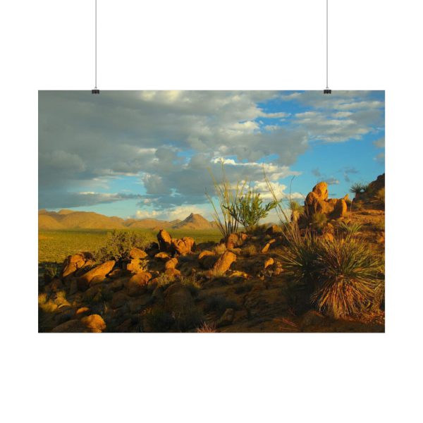 101875-516.jpg Sonoran Desert Poster