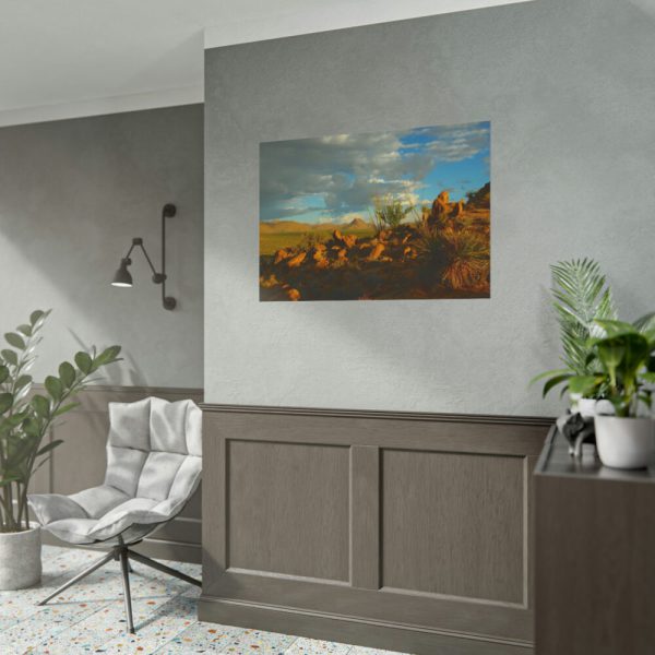 101875-519.jpg Sonoran Desert Poster