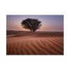 101875-540.jpg Trees in the Desert Poster