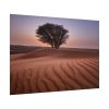 101875-542.jpg Trees in the Desert Poster