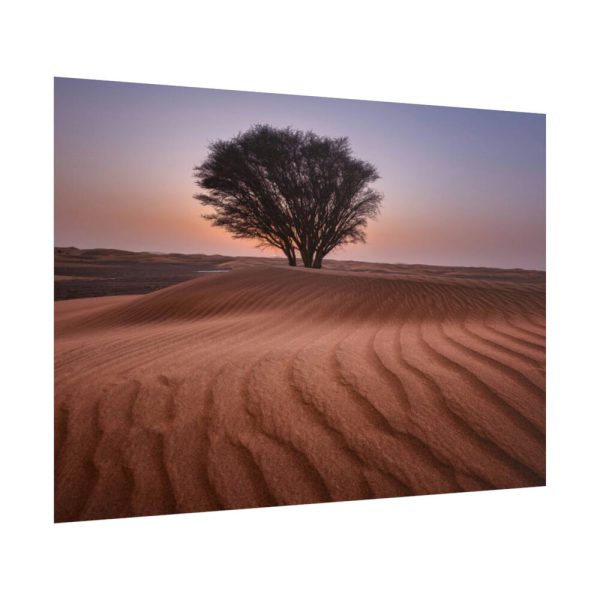 101875-542.jpg Trees in the Desert Poster