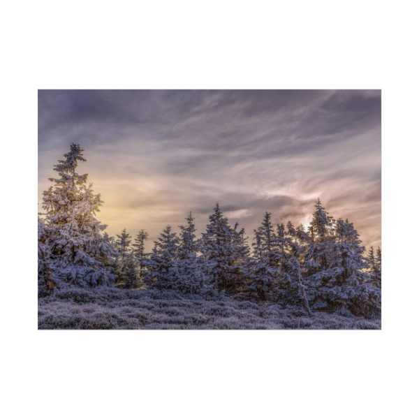 101875-565.jpg Way in Jesenik Mountain Poster