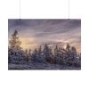 101875-566.jpg Way in Jesenik Mountain Poster