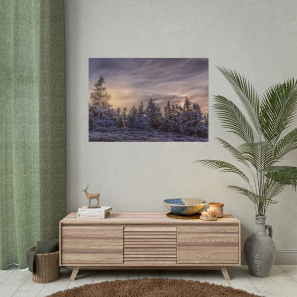 101875-568.jpg Way in Jesenik Mountain Poster