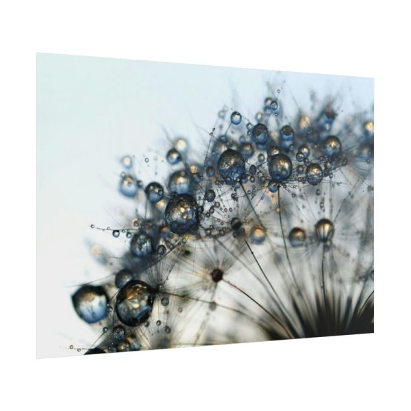 Dandelion Bloom Wildflower Nature Poster
