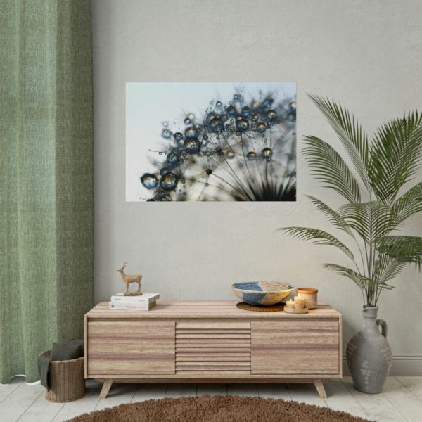 Dandelion Bloom Wildflower Nature Poster