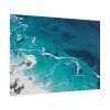 101875-77.jpg Seashore at Cape Point, South Africa Poster