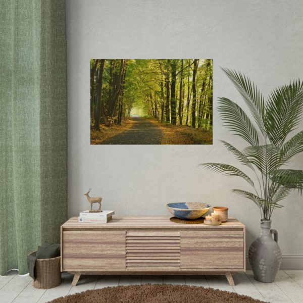 101875-8.jpg Beautiful Autumn forest Poster