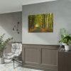 101875-9.jpg Beautiful Autumn forest Poster