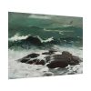 101875-97.jpg Summer Squall by Winslow Homer Poster