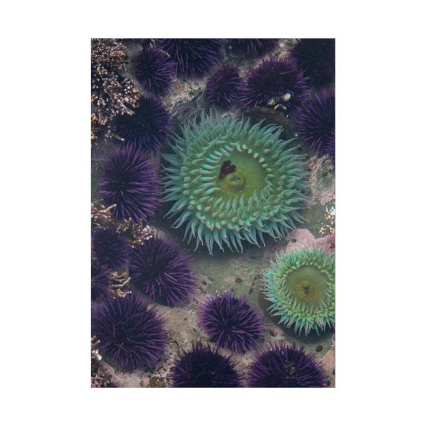 101894-10.jpg Underwater World Poster