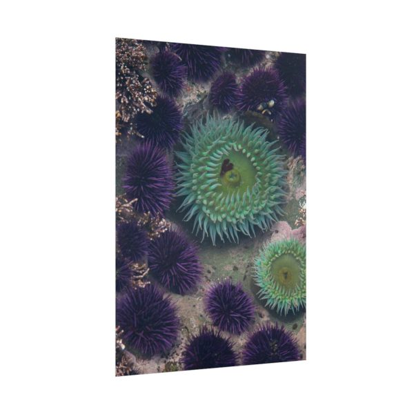 101894-12.jpg Underwater World Poster