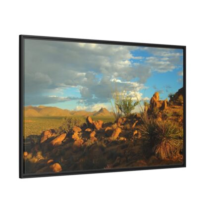 Sonoran Desert Framed Canvas