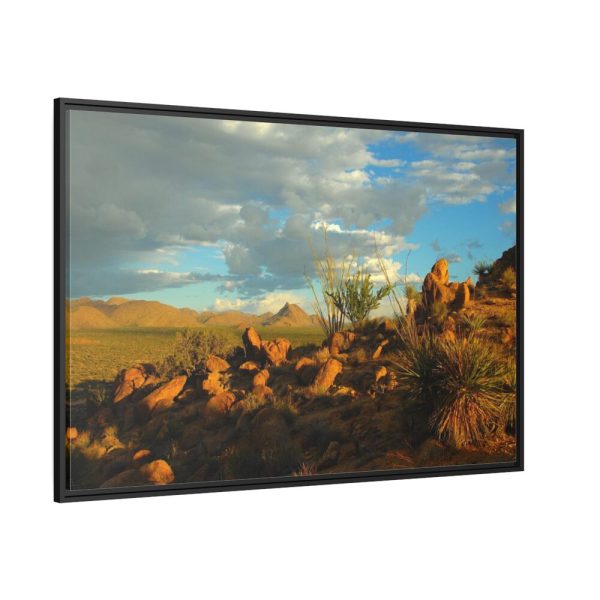 88289-295.jpg Sonoran Desert Framed Canvas