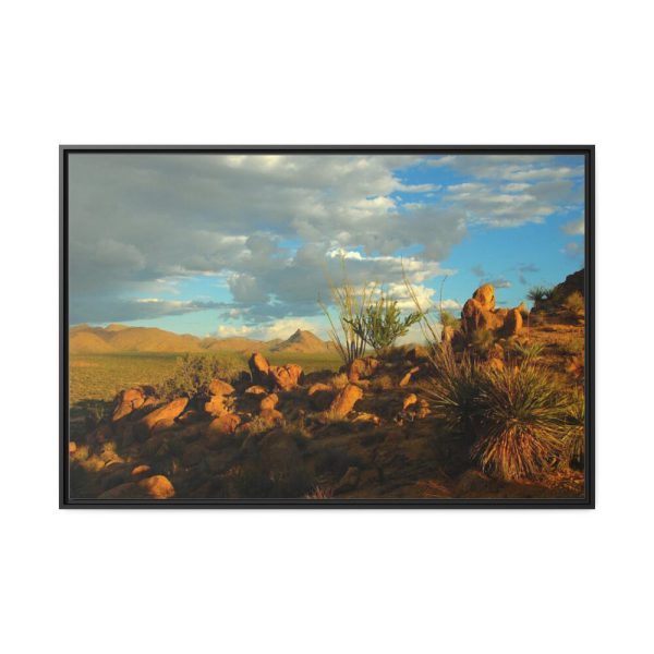 88289-296.jpg Sonoran Desert Framed Canvas