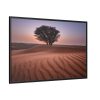 88289-320.jpg Trees in the Desert Framed Canvas