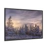 Way in Jesenik Mountain Framed Canvas
