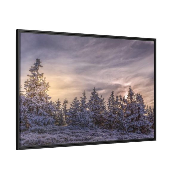 Way in Jesenik Mountain Framed Canvas