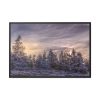 Way in Jesenik Mountain Framed Canvas