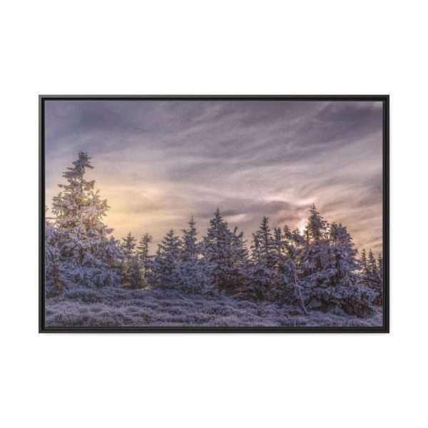 Way in Jesenik Mountain Framed Canvas
