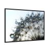 88289-400.jpg Dandelion Bloom Wildflower Nature Framed Canvas