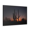 88289-55.jpg Saguaro Cacti at Sunset in the Arizona Desert Framed Canvas