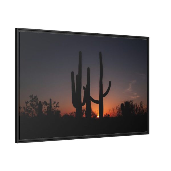 88289-55.jpg Saguaro Cacti at Sunset in the Arizona Desert Framed Canvas