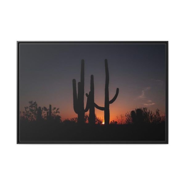 88289-56.jpg Saguaro Cacti at Sunset in the Arizona Desert Framed Canvas